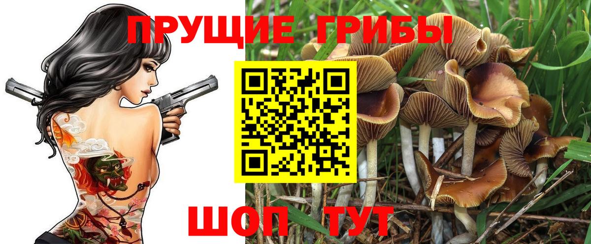 Псилоцибиновые грибы GOLDEN TEACHER Шали