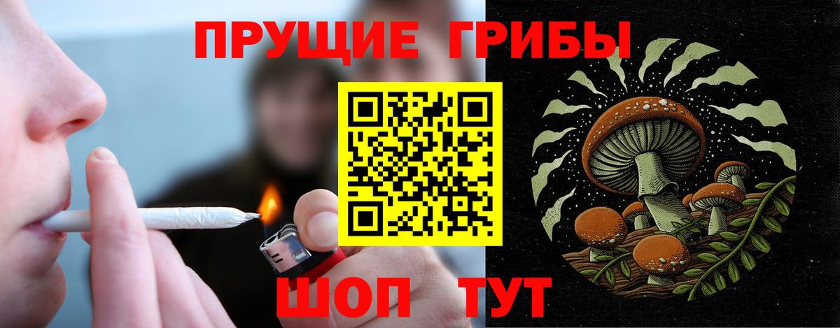 Галлюциногенные грибы мицелий  Псилоцибиновые грибы Magic Shrooms  Вход с VPN  Шали 